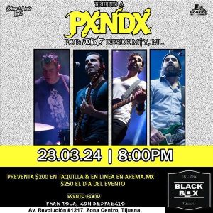 Tributo a Panda en Tijuana 2024