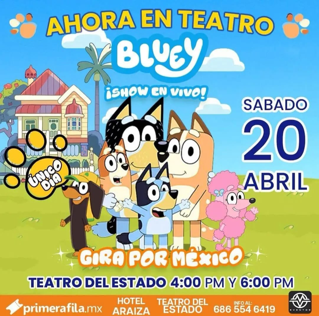 Bluey en Ensenada 2024