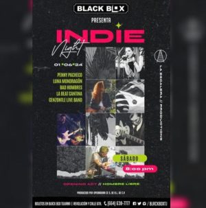 Indie Night en Tijuana 2024
