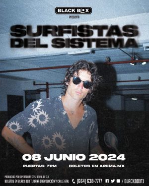 Surfistas del Sistema 2024