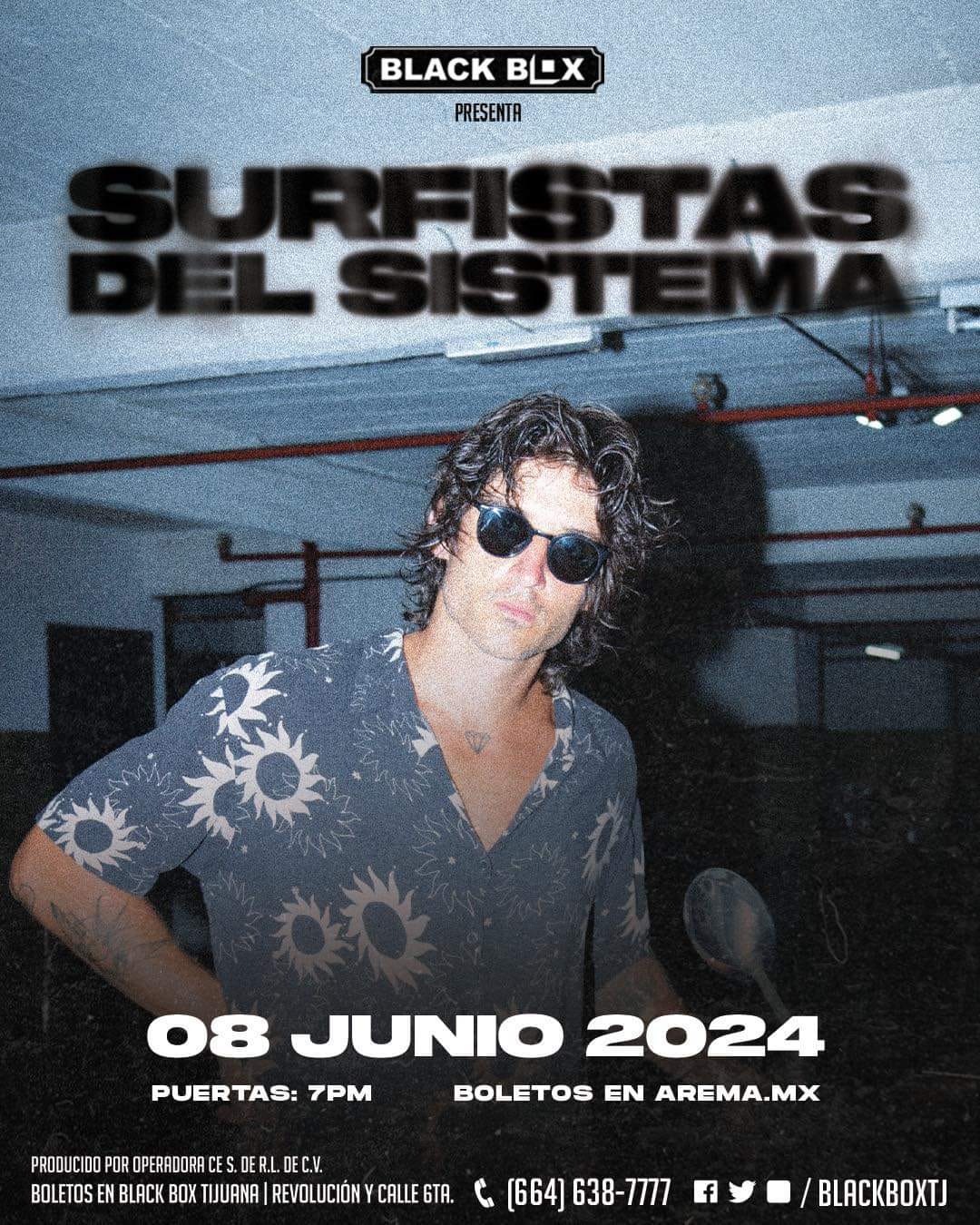 Surfistas del Sistema 2024