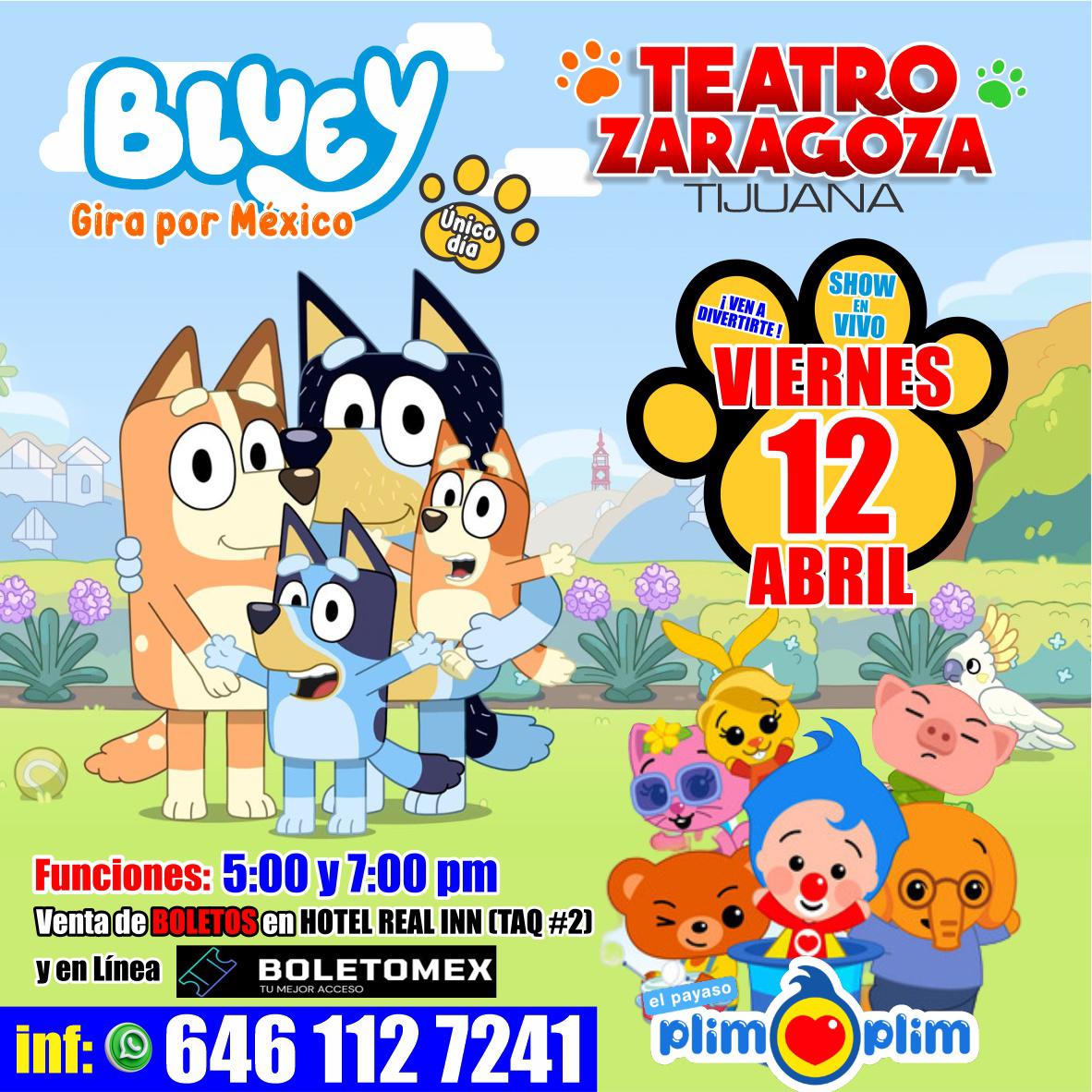 Tributo Bluey Plim plim Tijuana 2024