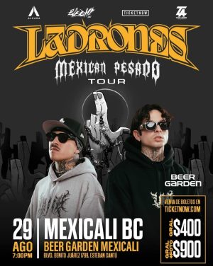 Ladrones en Mexicali 2025