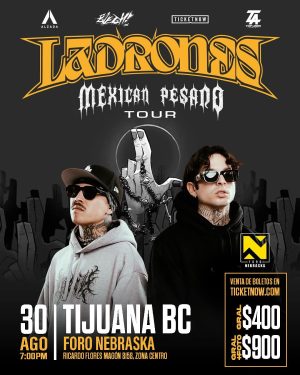 Ladrones en Tijuana 2025