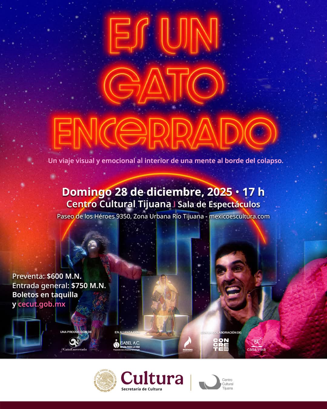 Es un Gato Encerrado en Tijuana 2025