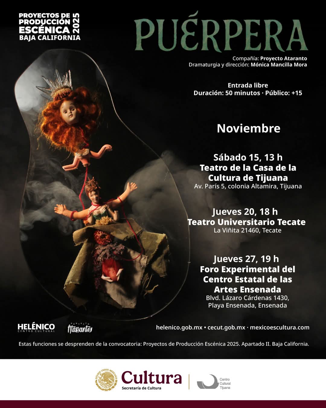 Puérpera en Tijuana 2025