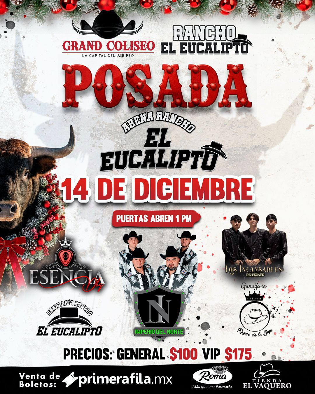 Gran Posada en Tecate 2025