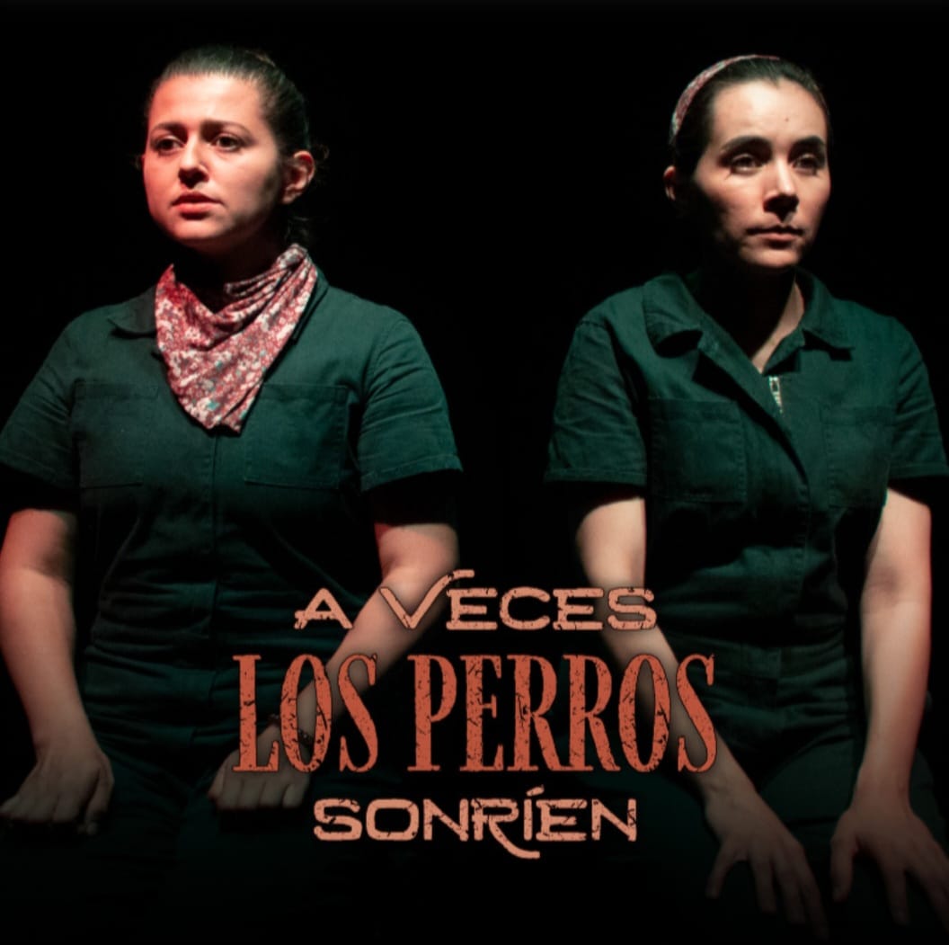 A veces los perros sonríen en Tijuana 2026