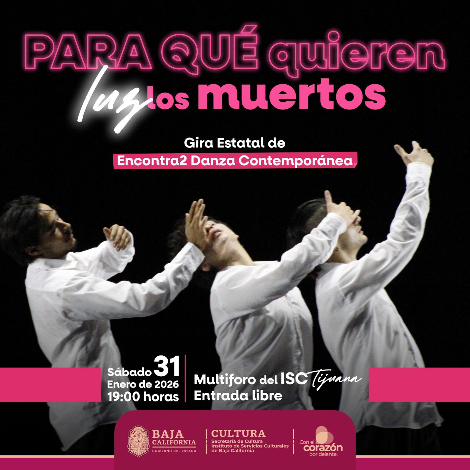 Para qué quieren Luz los Muertos en Tijuana 2026