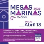 Mesas Marinas en Ensenada 2026