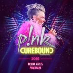 P!NK en San Diego 2026