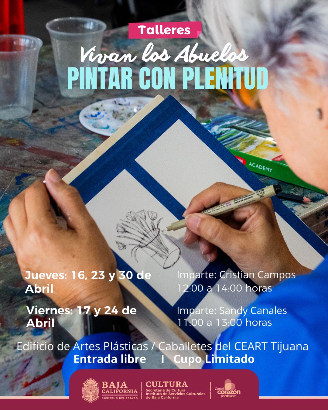 Pintar con Plenitud en Tijuana 2026