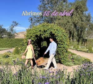 Días de Picnic en Tijuana 2026