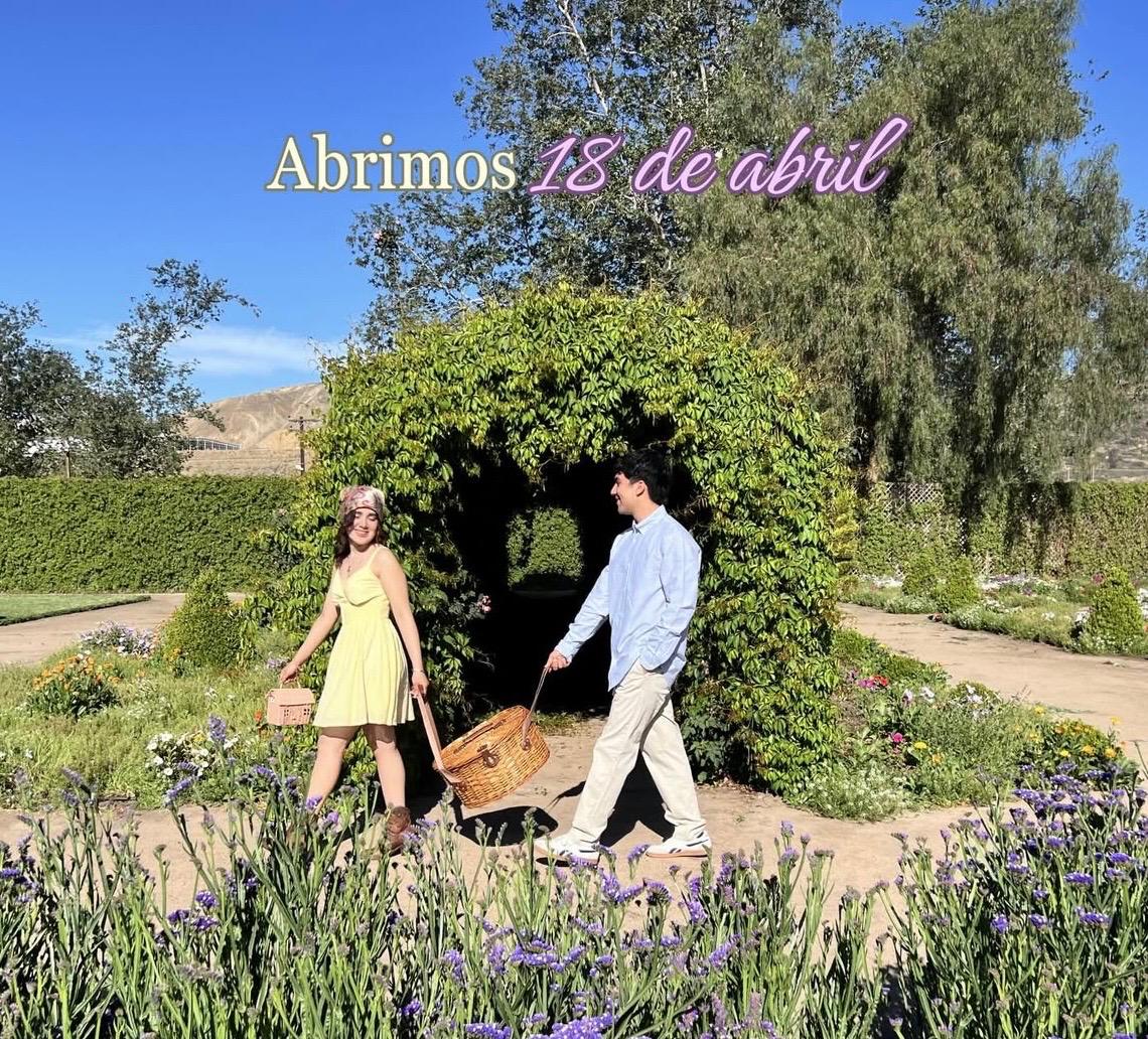 Días de Picnic en Tijuana 2026