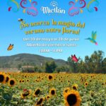 Mictlán Campo Mágico en Tijuana 2026