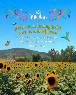 Mictlán Campo Mágico en Tijuana 2026