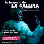 La tragedia de la gallina en Tijuana 2026