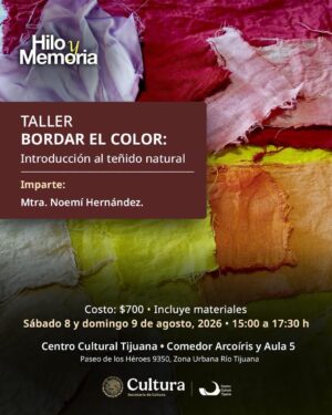 Taller Bordar el Color en Tijuana 2026