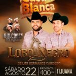 Lobo Negro en Tijuana 2026