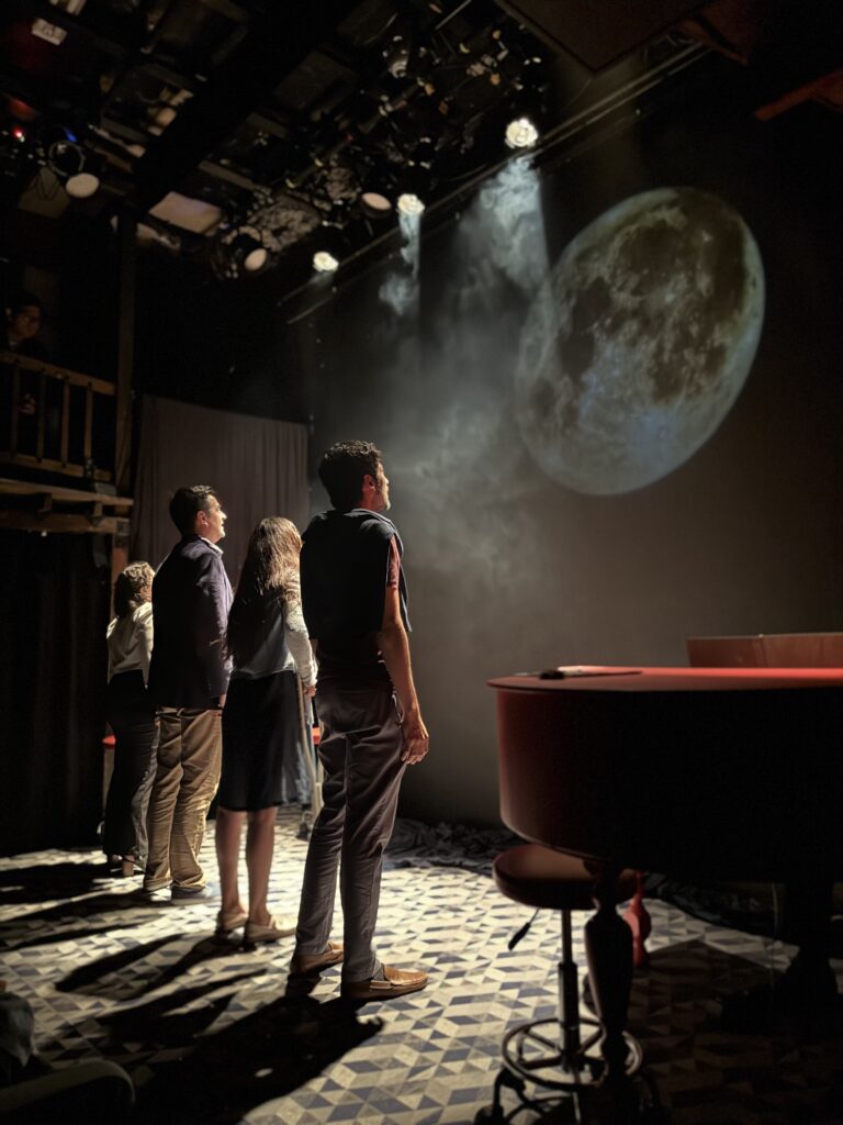 También hay moscas en la luna 2