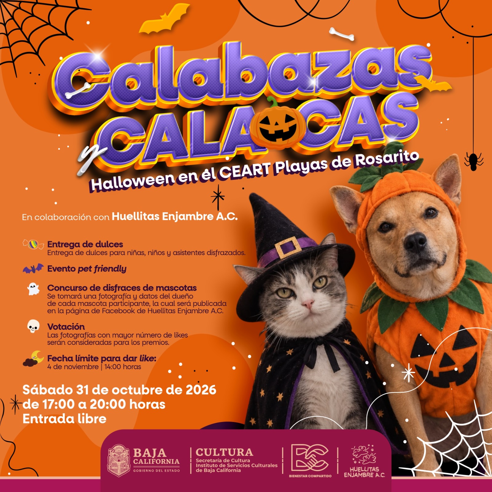 Calabazas y Calacas en Rosarito 2026